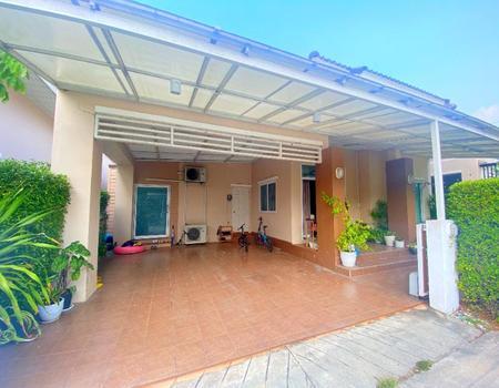 �ź��� �� incube