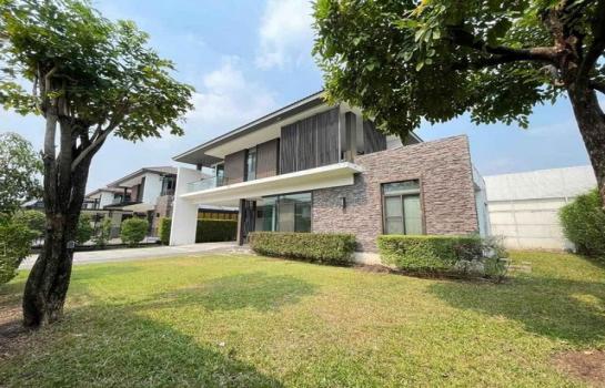 �ҧ�л� �� kantapon4