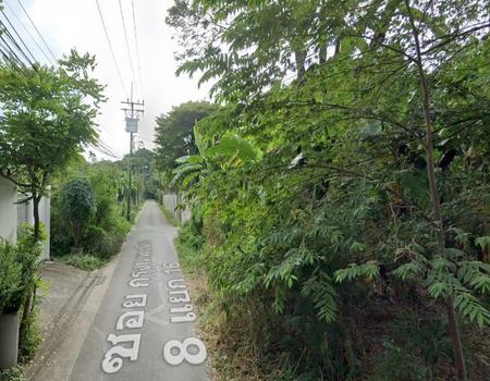 ���ͧ �� incube