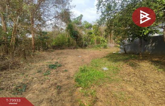 �ѹ����� �� The Best Property Agent