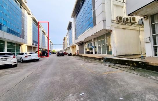 �Ҥ�þҳԪ�������� 49,998 �ҷ�����͹