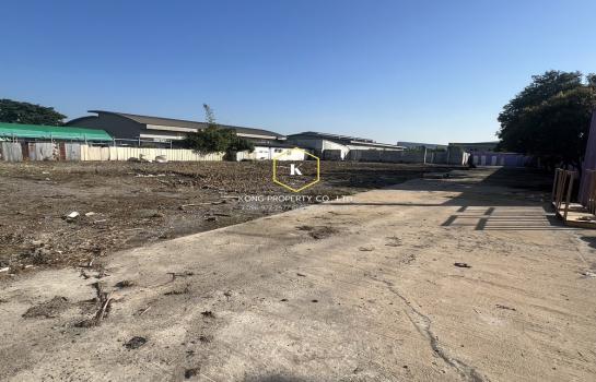 ��¹�û�� �� Kong property