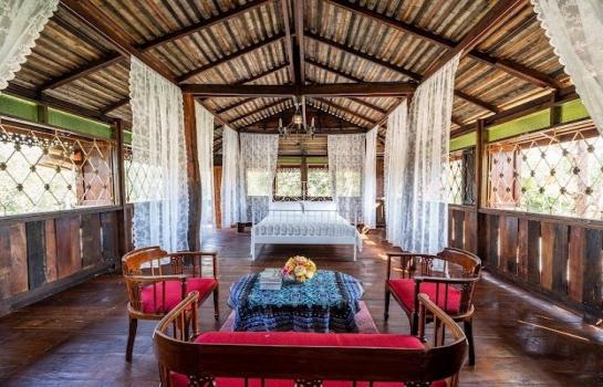 ��ҹ�ѹ��ҵͧ ��§����