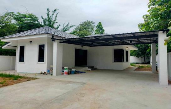 ��ҹ�ѹ��ҵͧ ��§����