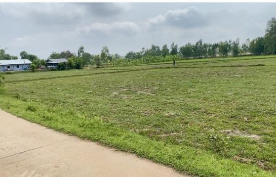 ���Թ��� �� sopa