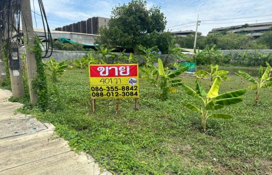 �����ҹ� �� zionasset1