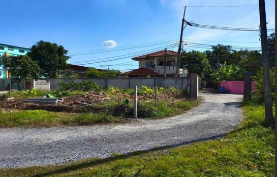 �͹���ͧ �� zionasset1