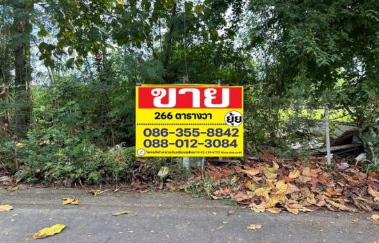 ��ѡ��� �� zionasset1