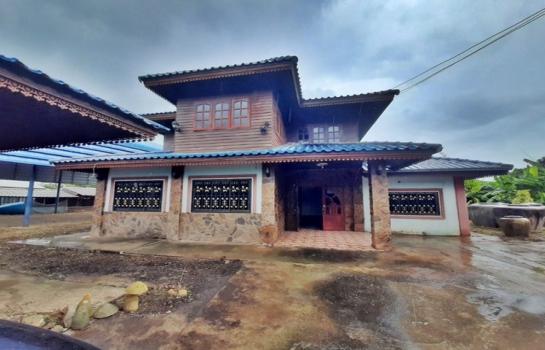 ��ª������ �� compos2566