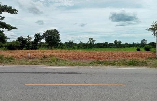 ��ª������ �� panaya.opalopal