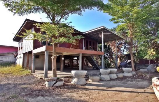 ��ª������ �� compos2566