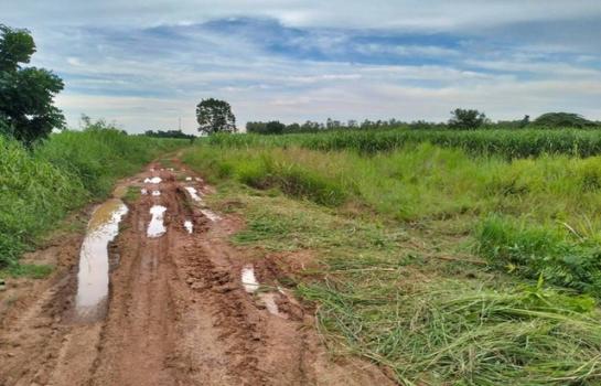 ��ª������ �� compos2566