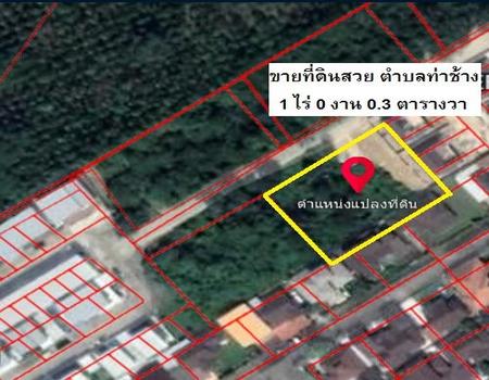 ���ͧ �� incube