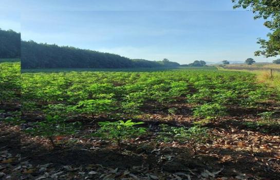 ˹ͧ�˭� �� Sararat_dai