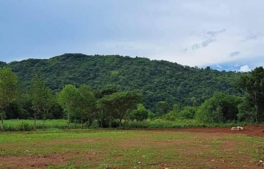 ที่ดิน ติดถนนคอนกรีต 3519 ตารางวา ที่ดิน ติดถนนคอนกรีต 3519 ตารางวา