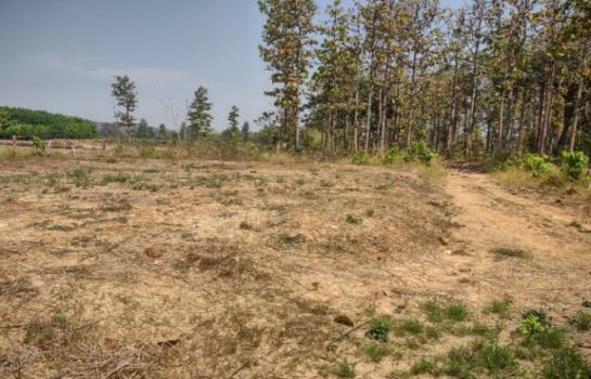 ���Թ 21 ���