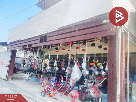 ��ҹ�ѹ��ҵͧ ��§����