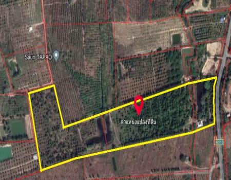 �ѹ����� �� incube