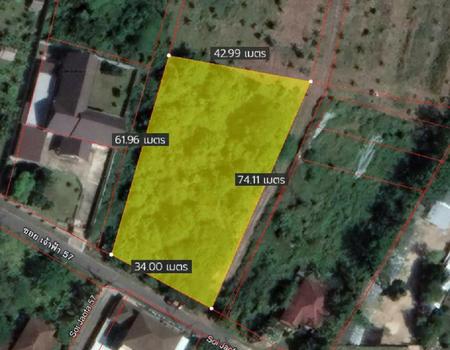 ���ͧ �� incube