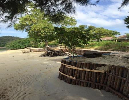 ��ҧ �� incube