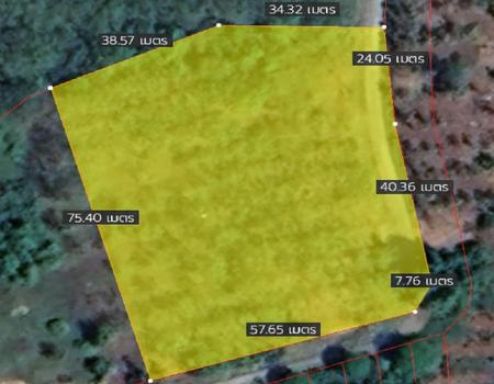 ��ҧ �� incube