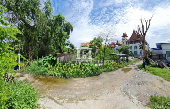 ���Թ BTS �ҧࢹ