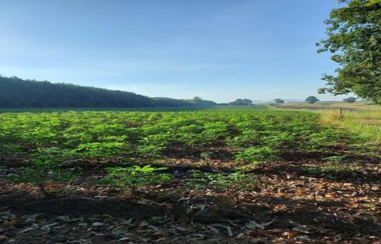 �ź��� �� kamolkorn