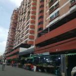 �͹� �ҧ�л� 41 ���ҧ����