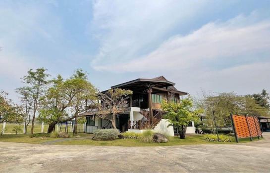 ��ҹ�ѹ��ҵͧ ��§����