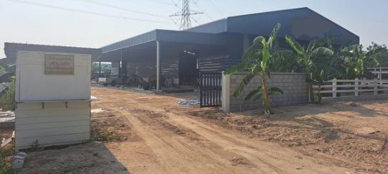 ⡴ѧ���ͧ �� 1000property