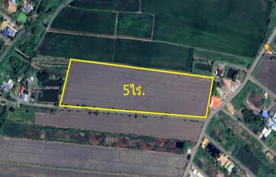 ˹ͧ�͡ �� Patkorn