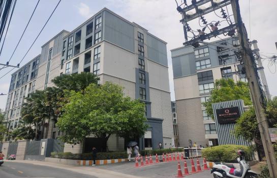 �͹�true 2 ��ͧ�͹