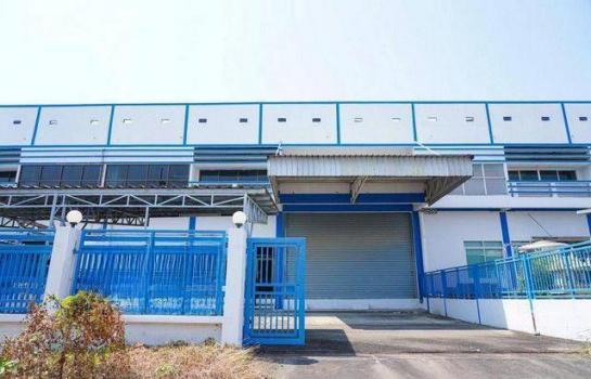 ��Ը� �蹨Թ��