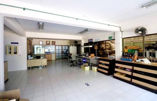 ⡴ѧ���ͧ �� Sararat_dai