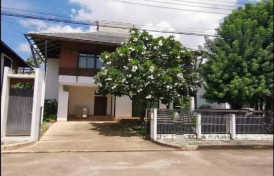 �ҧ�� �� northern1