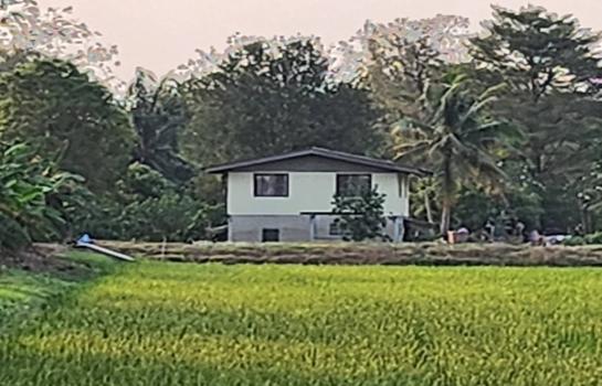 ���Թ 21 ���