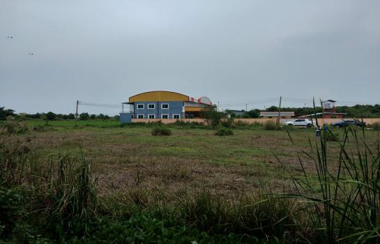 ที่ดิน 4 ไร่ ที่ดิน 4 ไร่