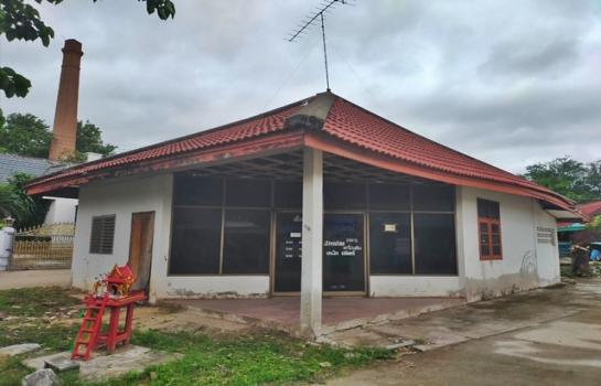 ����Ҫ���� �� panaya.opalopal