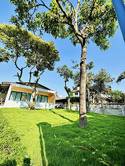 �ѹ��ᾧ �� I-Home thai property