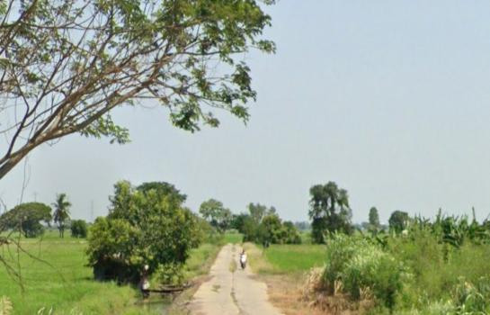 ���Թž���� �� Estate Corner