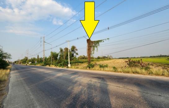 �ҭ������ �� janejane