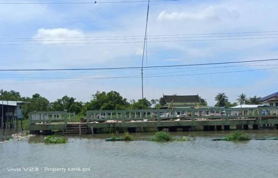 �ҡ��� �� kantapon4