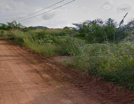 ���ͧ �� incube