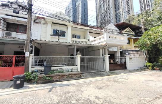 ���⢹� �� ritthichai