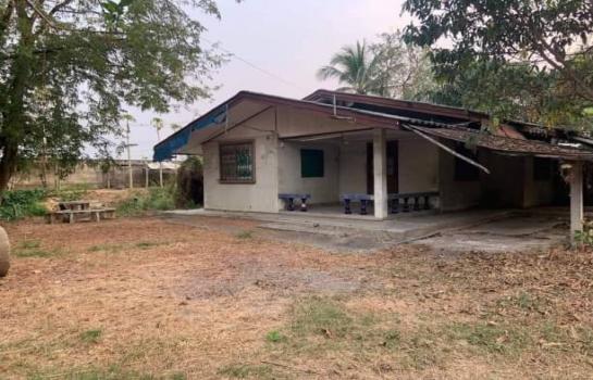 ���ͧ �� northern1