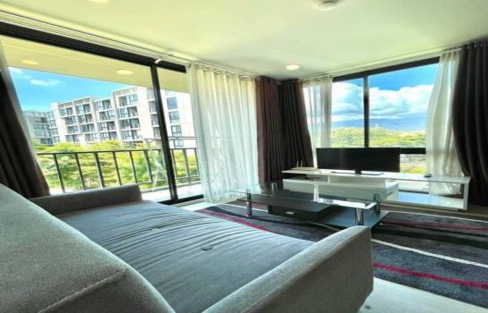 ���ͧ �� northern1