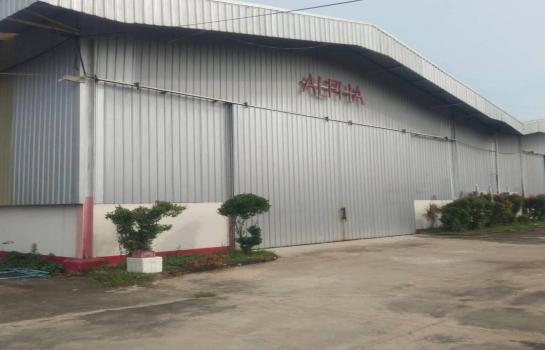 �ç�ҹ 9 ���