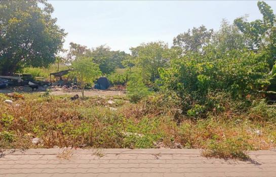 �ҧ��� �� Sararat_dai