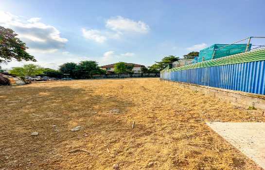 ที่ดิน pattaya ที่ดิน pattaya