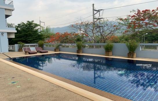 �Ң�ѭ �Ź�����